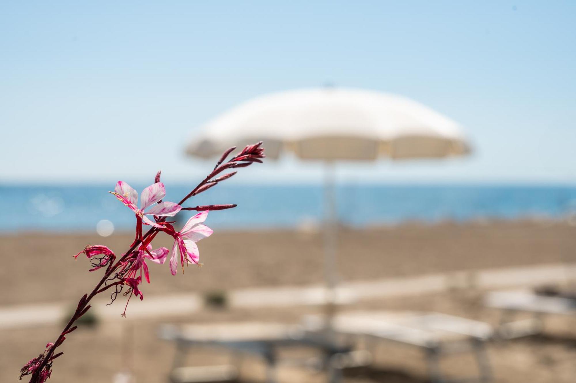 Terme Beach Resort Punta Marina Exterior foto
